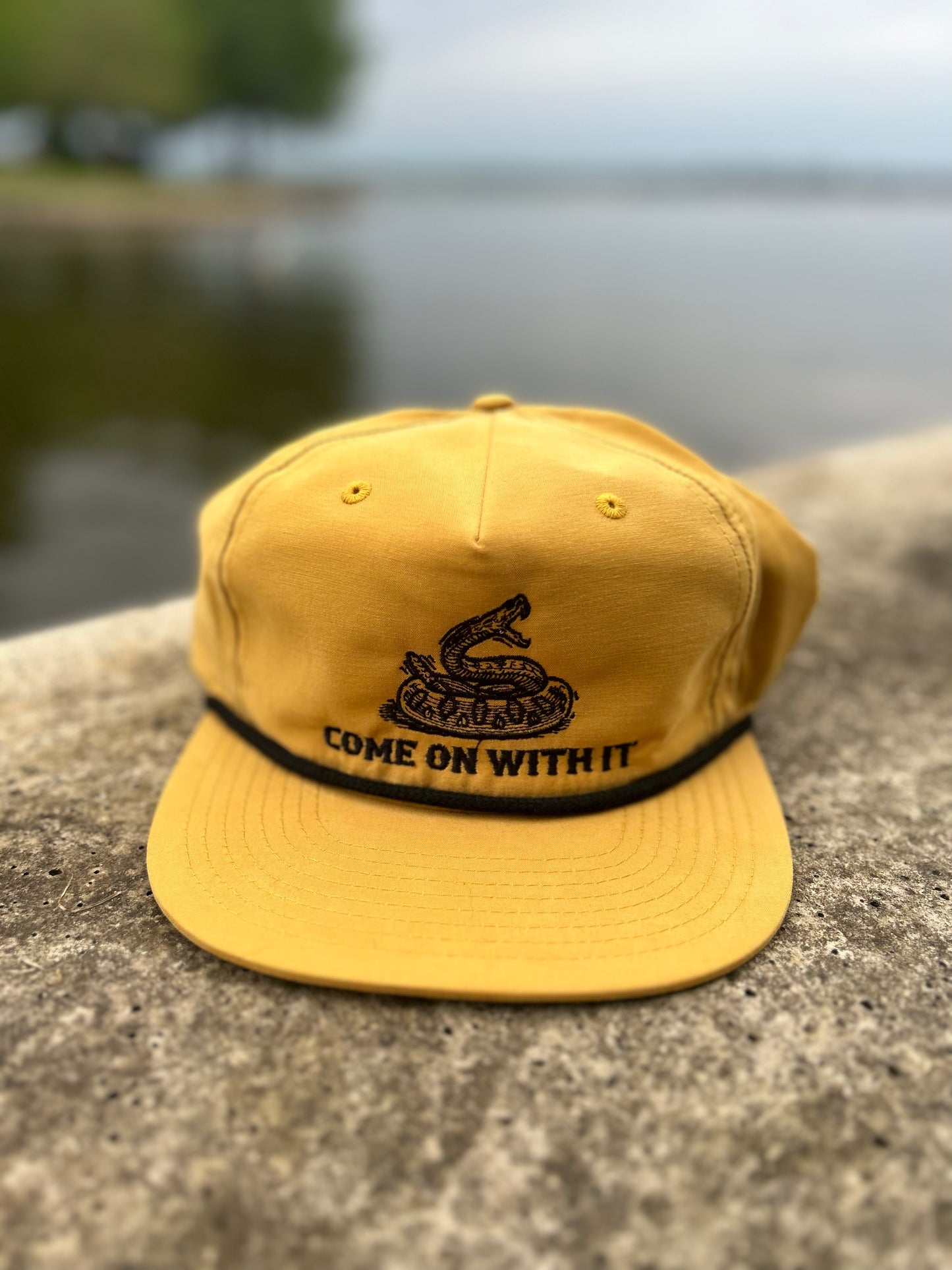 Come On With It - Biscuit